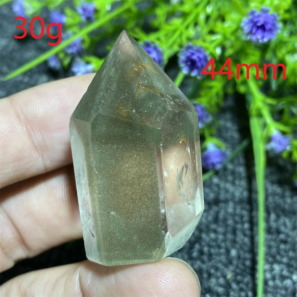 Sd2e1d6d274164a1ebfc1d8e9206d4d92D